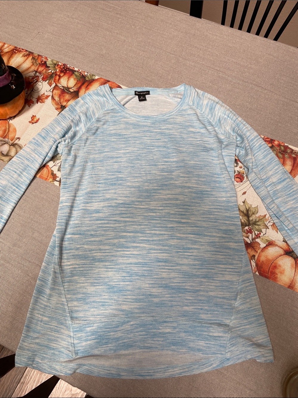 Champion Light Blue Space Dye Long Sleeve Pullover, M